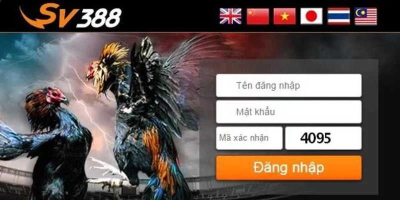 Trang Đá Gà Trực Tiếp Hàng Đầu – Trải Nghiệm Cực Đỉnh Tại SV388 CASINO