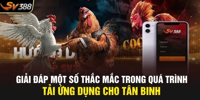 Giải đáp một số thắc mắc trong quá trình tải ứng dụng cho tân binh