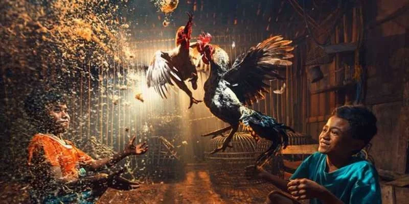 Kinh nghiệm đá gà tại SV388 CASINO