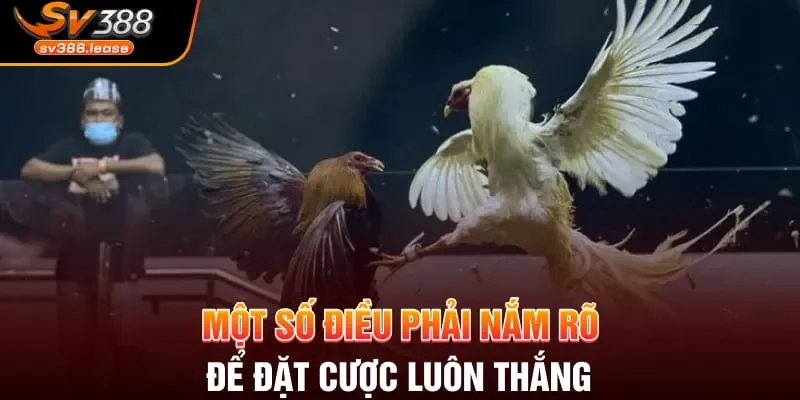 Một số điều phải nắm rõ để đặt cược luôn thắng