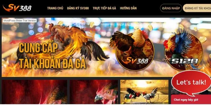 Tại sao nên chọn trang đá gà trực tiếp thì SV 388?